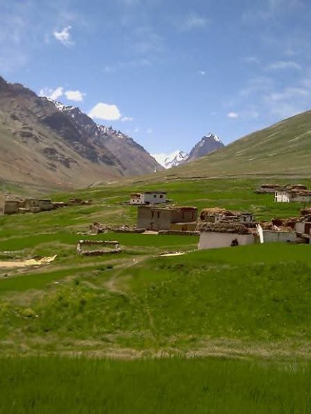 WhatsApp Image 2026-02-05 at 12.02.36 PM